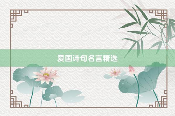爱国诗句名言精选